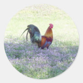 Feathered Pride Sticker (Voorkant)