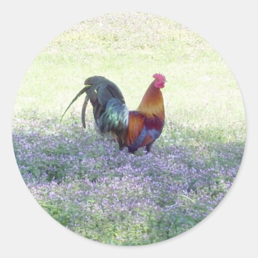 Feathered Pride Sticker (Voorkant)