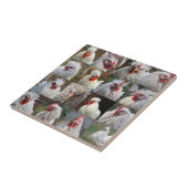 Feathers in Focus: een portret van een witte kip Tegeltje (Zijkant)