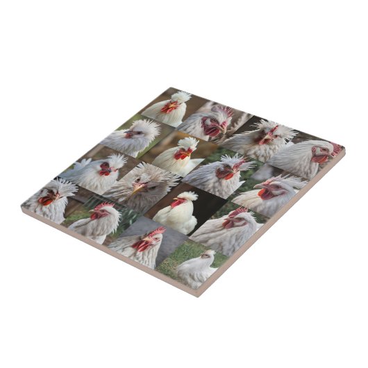 Feathers in Focus: een portret van een witte kip Tegeltje (Zijkant)