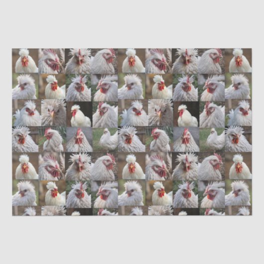 Feathers in Focus: een portret van een witte kip Tissuepapier (Voorkant)