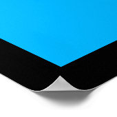 Feathers & Pot Spirit Reproduction Poster (Hoek)