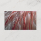 Feathers-profielkaart Visitekaartje (Achterkant)