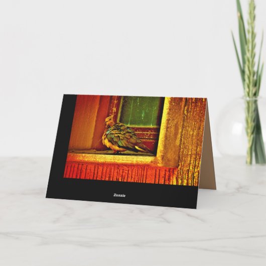 Feathery Dove Kaart (Achterkant)