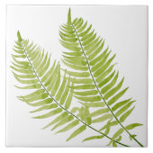 Feathery Fern on a Ceramic Tile Tegeltje (Voorkant)
