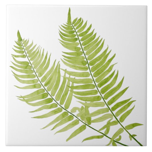 Feathery Fern on a Ceramic Tile Tegeltje (Voorkant)