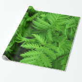 Feathery Green Ferns Cadeaupapier (Uitgerold)
