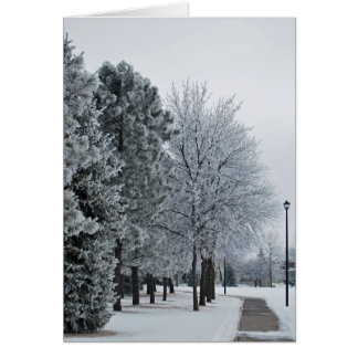 februari 2012 Hoar Frost Grand Forks, North Dakota