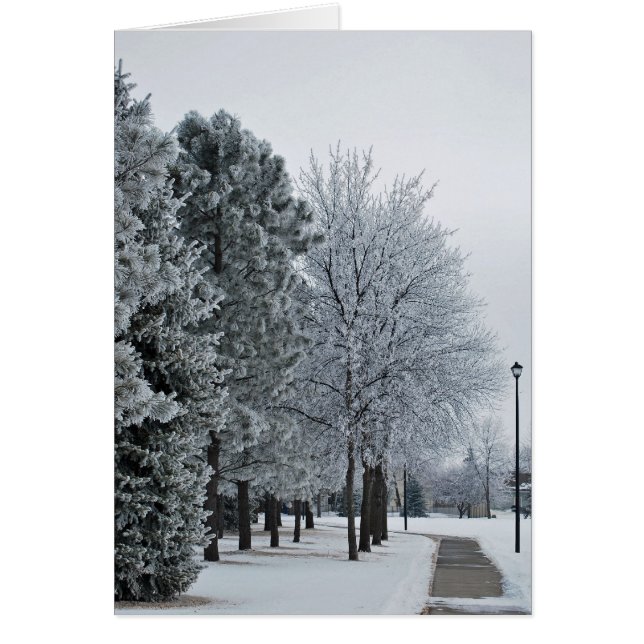 februari 2012 Hoar Frost Grand Forks, North Dakota (Voorkant)