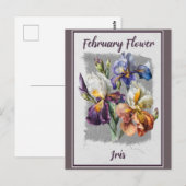 februari Bloem Iris Floral Briefkaart (Voorkant / Achterkant)