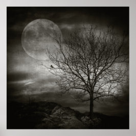 Februari boom poster