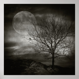 Februari boom poster