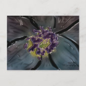 februari briefkaart (Voorkant)