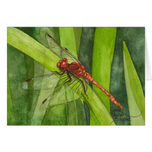 Februari Dragonfly
