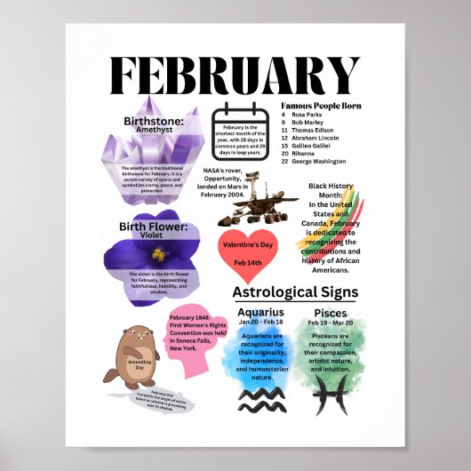 Februari Fun Facts Poster (Voorkant)