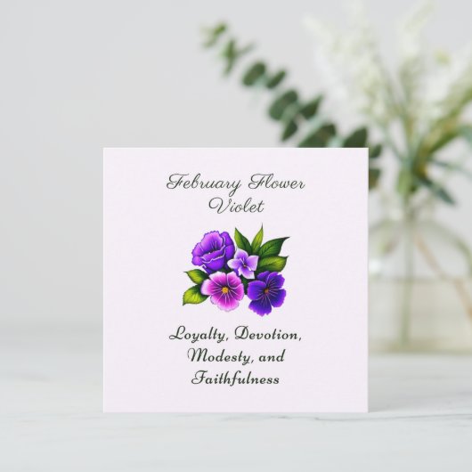 Februari Geboortemaand Bloem Violet Delicate Bloem (Staand voorkant)