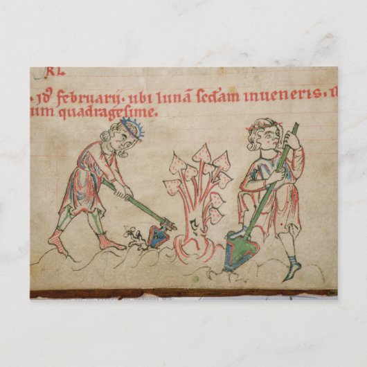 Februari: hoeing briefkaart (Voorkant)