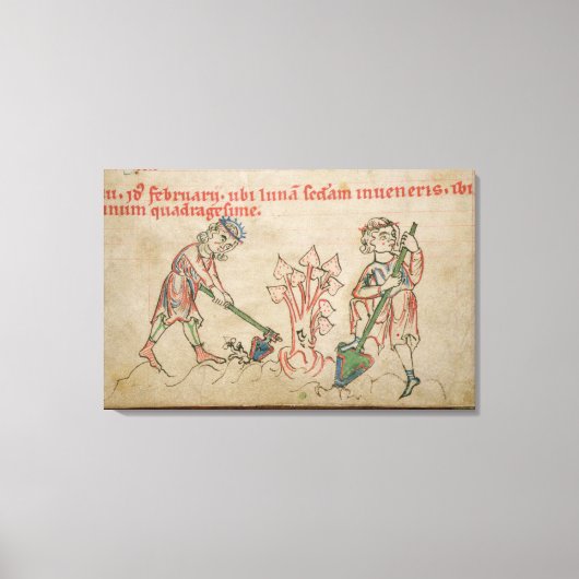 Februari: hoeing canvas afdruk (Voorkant)