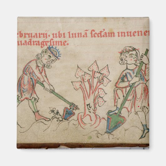 Februari: hoeing magneet (Voorkant)