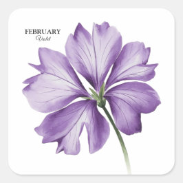 Februari Verjaardag Bloem: Violet gepersonaliseerd Vierkante Sticker