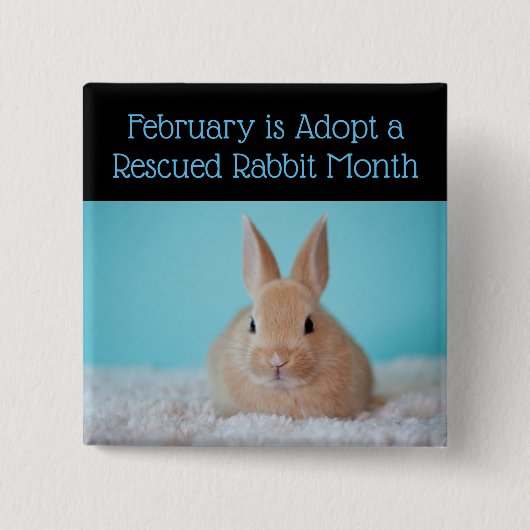 Februari wordt goedgekeurd een Rescued Rabbit Mont Vierkante Button 5,1 Cm (Voorkant)