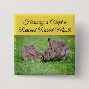 Februari wordt goedgekeurd een Rescued Rabbit Mont Vierkante Button 5,1 Cm