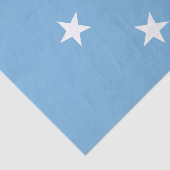 Federale Staten van Micronesia Tissuepapier (Detail)