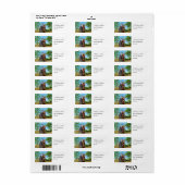 Fee en eenhoorn etiket (Full Sheet)