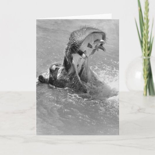 Feed Me Hippo Note Card Kaart (Voorkant)