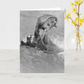 Feed Me Hippo Note Card Kaart (Gele Bloem)