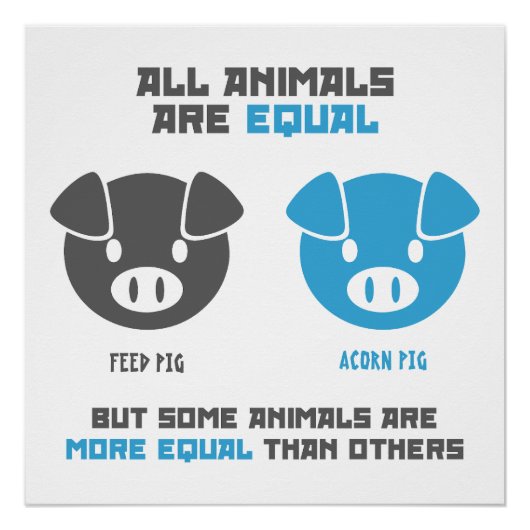 Feed Pig, Acorn  Perfect Poster (Voorkant)