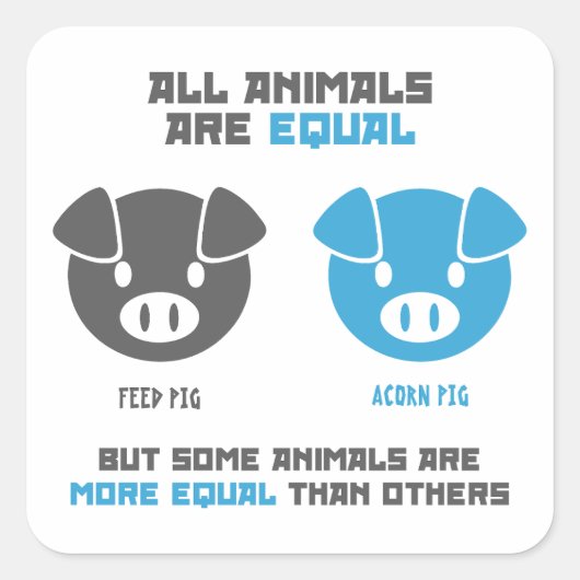 Feed Pig, Acorn  Vierkante Sticker (Voorkant)