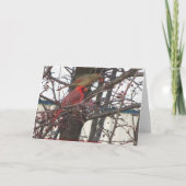 Feeding Cardinals, Happy Anniversary Kaart (Achterkant)
