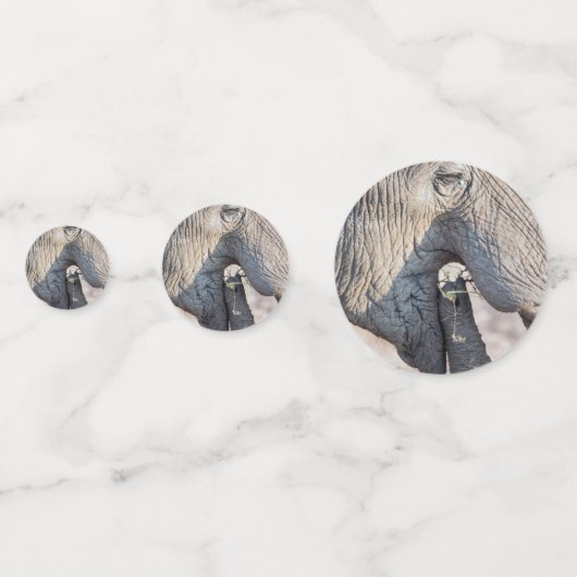 Feeding Confetti (Achterkanten)