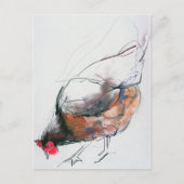 Feeding Hen Trasierra 1998 Briefkaart (Voorkant)