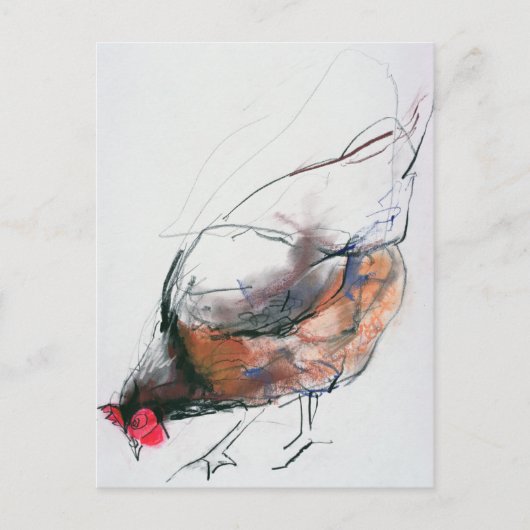 Feeding Hen Trasierra 1998 Briefkaart (Voorkant)