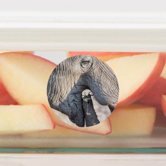 Feeding Labels (Aangebracht)