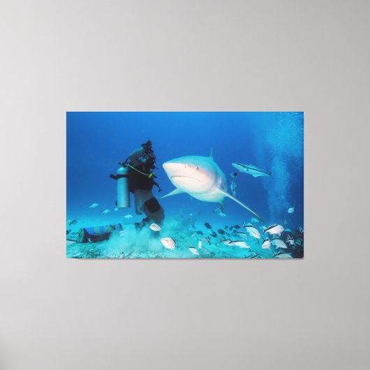 Feeding The Bull Canvas Afdruk (Voorkant)