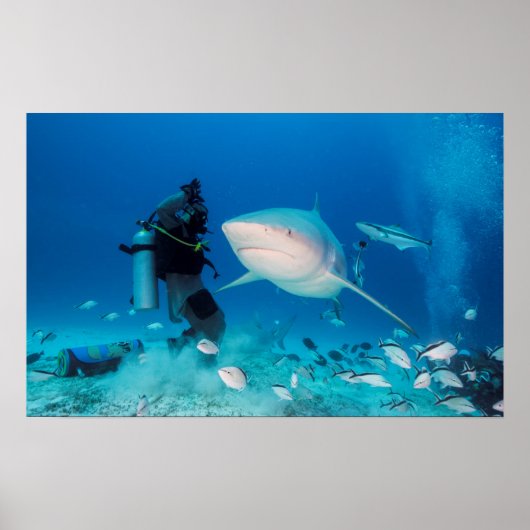 Feeding The Bull Poster (Voorkant)