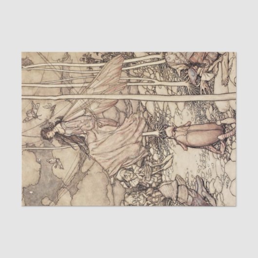 “Feeën en elfen” door Arthur Rackham Tissuepapier (Voorkant)