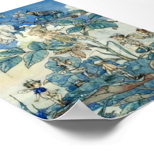 feeën in een Roos Struik Poster (Hoek)