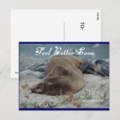 Feel Better Soon (Sea Lion) - Postcard Briefkaart (Voorkant / Achterkant)