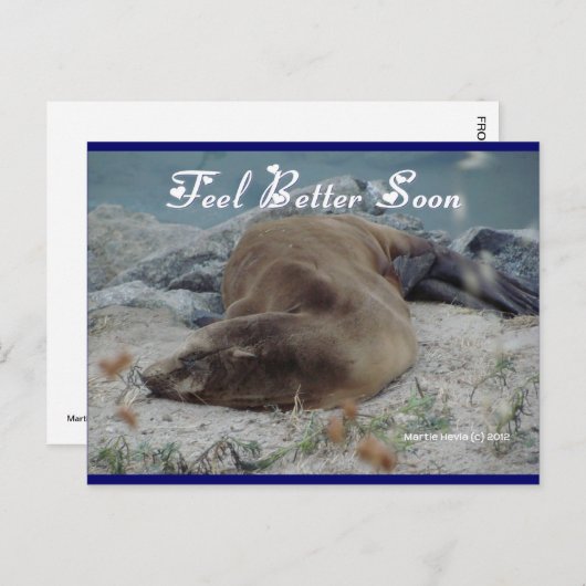 Feel Better Soon (Sea Lion) - Postcard Briefkaart (Voorkant / Achterkant)