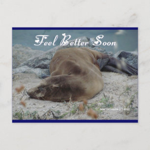 Feel Better Soon (Sea Lion) - Postcard Briefkaart
