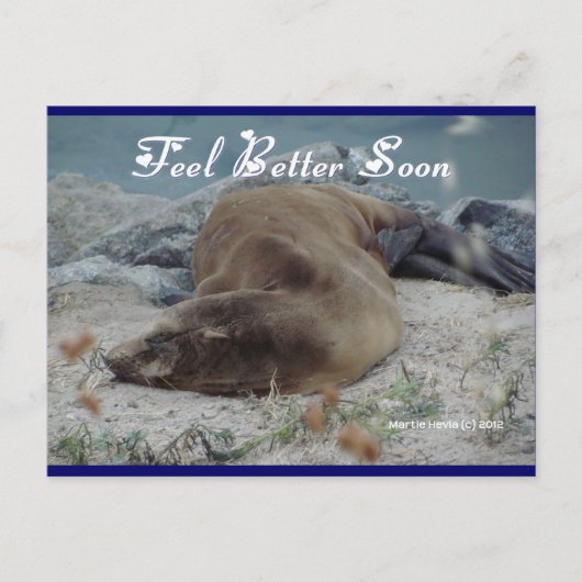 Feel Better Soon (Sea Lion) - Postcard Briefkaart (Voorkant)