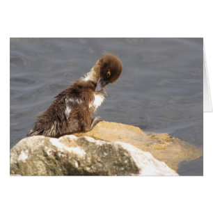 Feelin' Ducky - Ducking Get Well Kaart