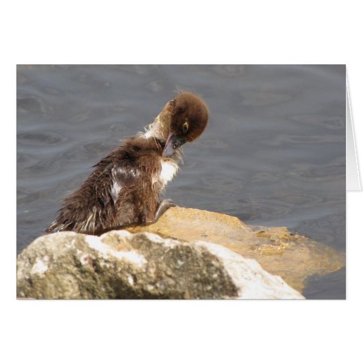 Feelin' Ducky - Ducking Get Well Kaart (Voorkant Horizontaal)