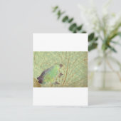 Feelin' Froggy Briefkaart (Staand voorkant)
