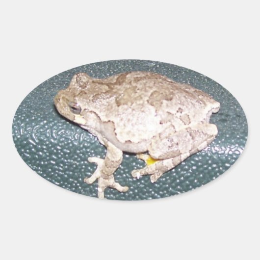 Feelin' Froggy! Ovale Sticker (Voorkant)