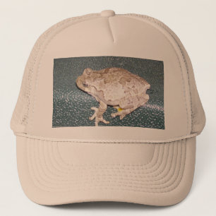 Feelin' Froggy-Pet Trucker Pet